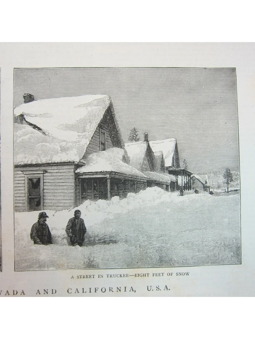 Antique 1885 Print 